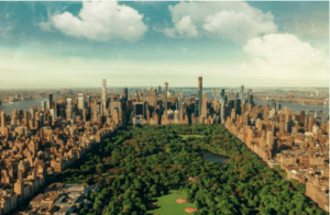 Picture of Central Park